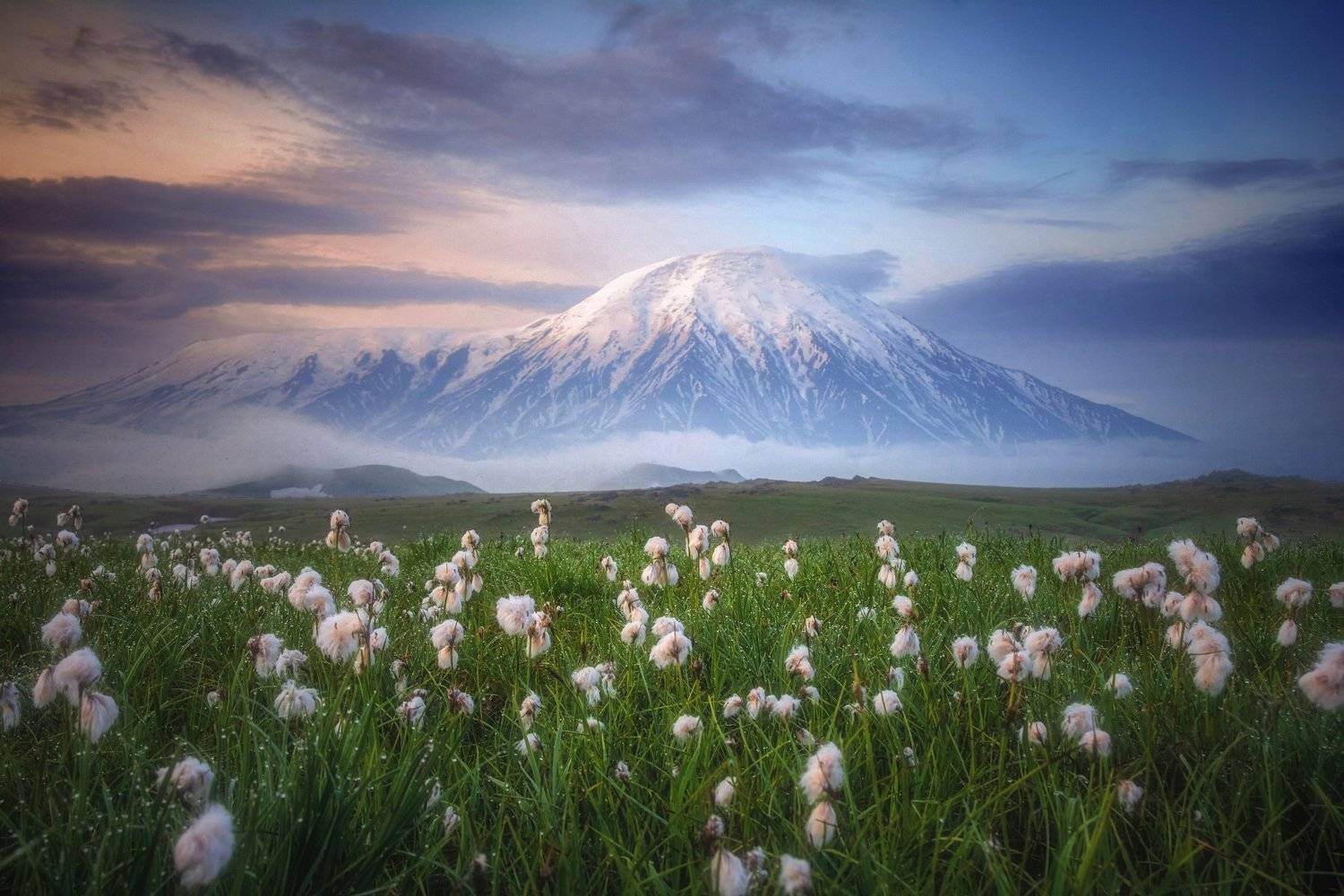 камчатка,толбачик,рассвет,вулкан, Алексей Кретов