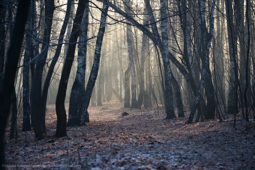 морозная дымка поздней осени / frosty haze of late fall