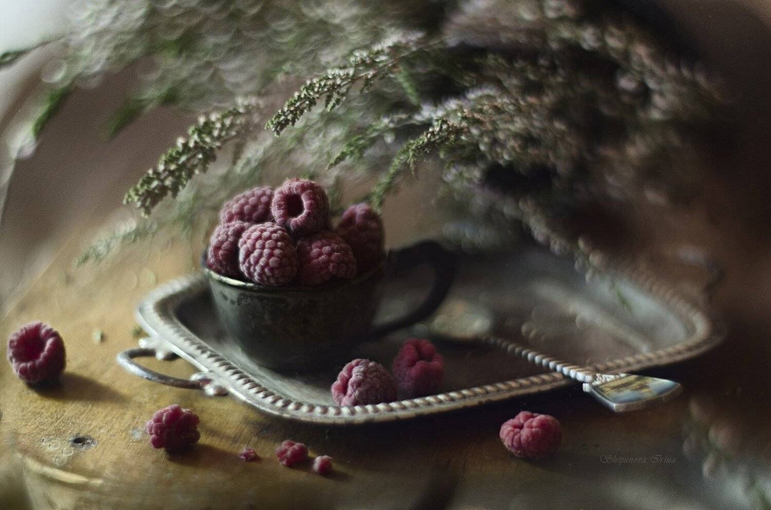 малина, вереск, гелиос, Шипунова Ирина