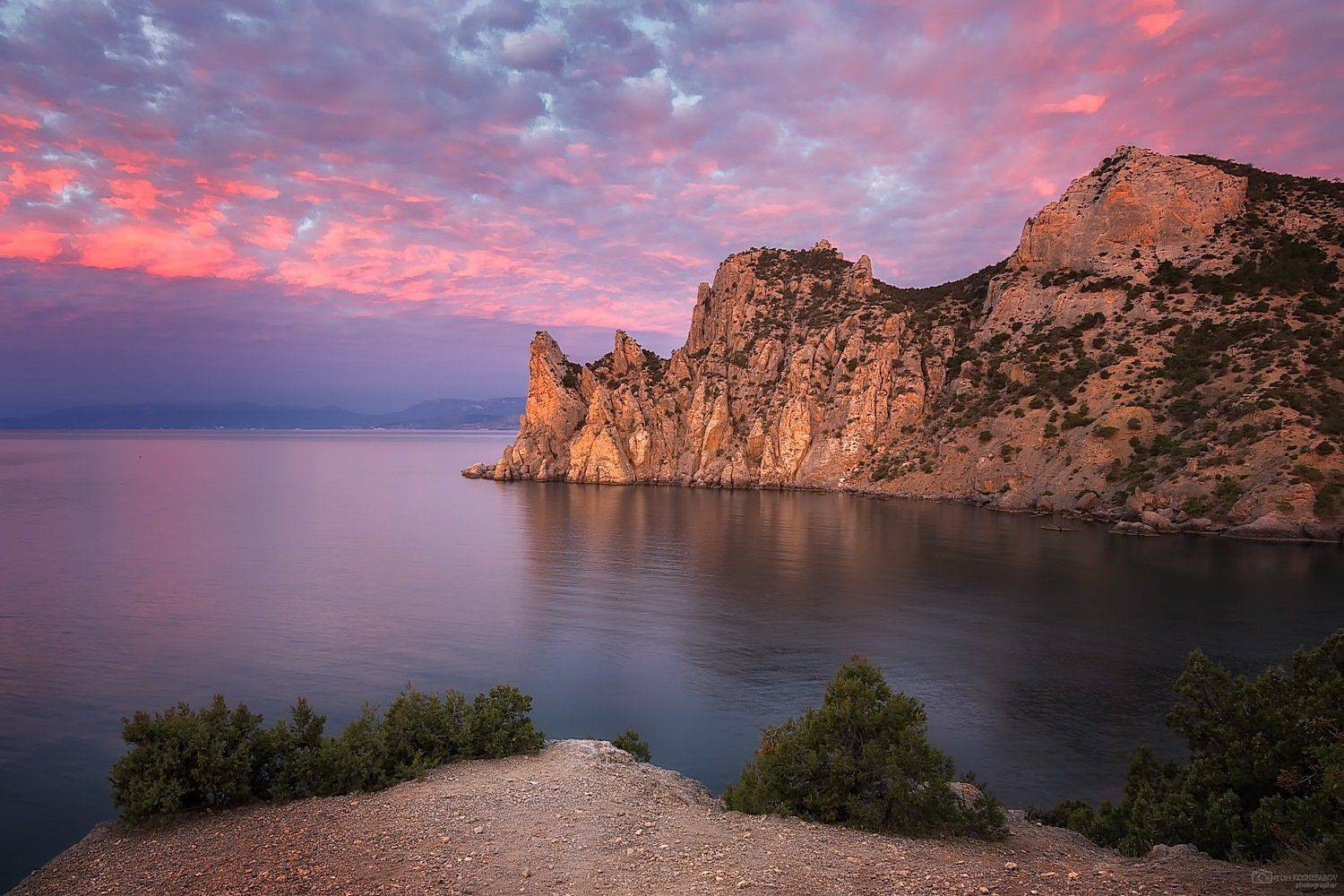 , Антон Кошетаров