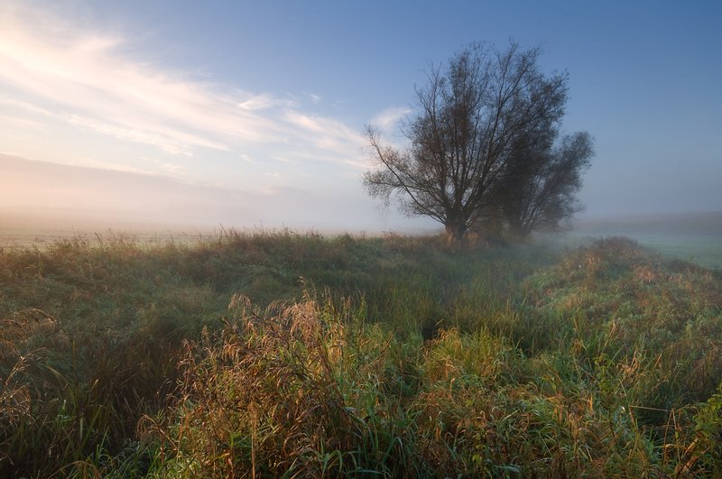 october... фото превью