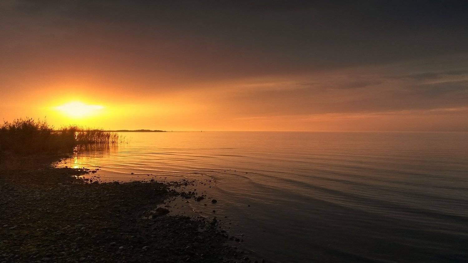 , Алексей Гуляев