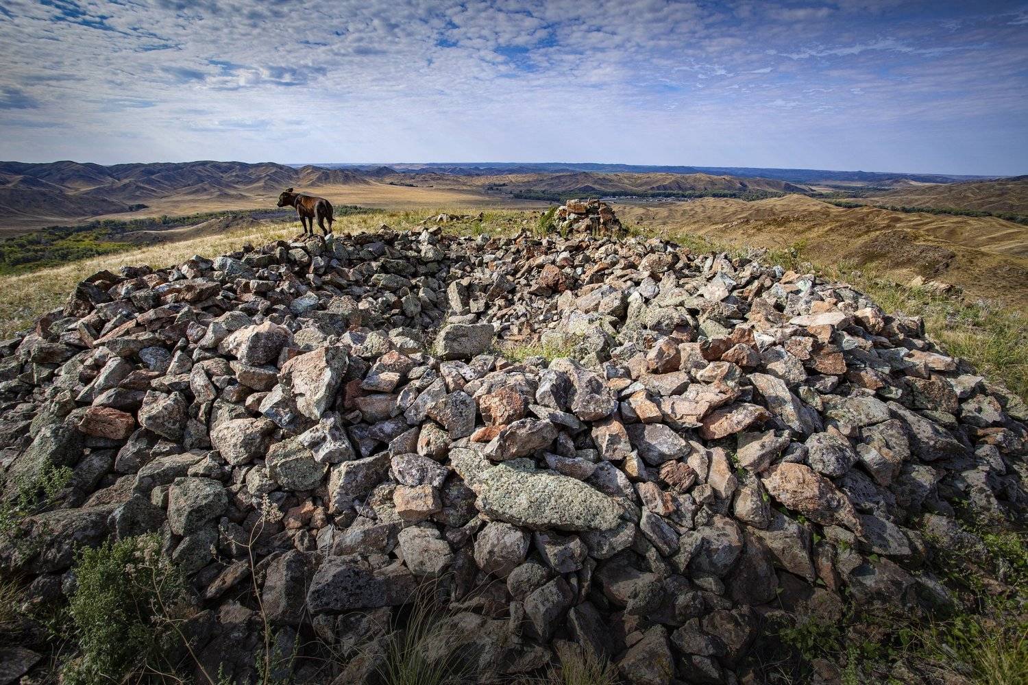 , петр чиков