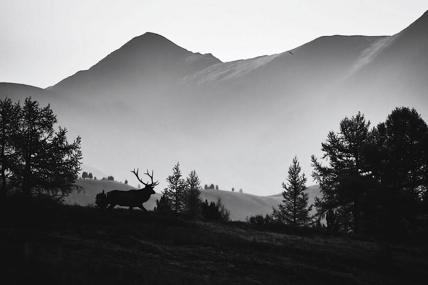 , Мазурин Евгений