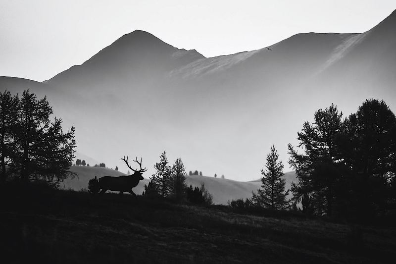 рассвет фото превью