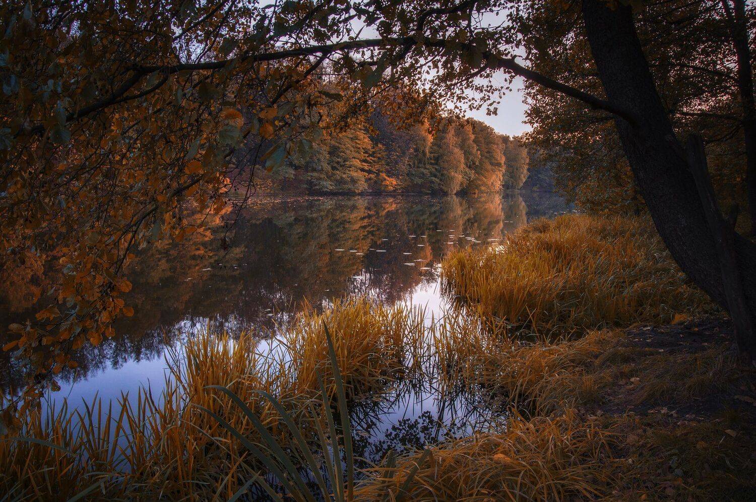 , Павел Ныриков