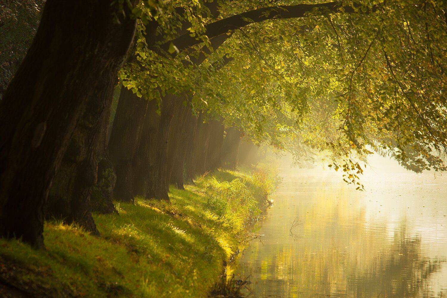 , Robert Adamec
