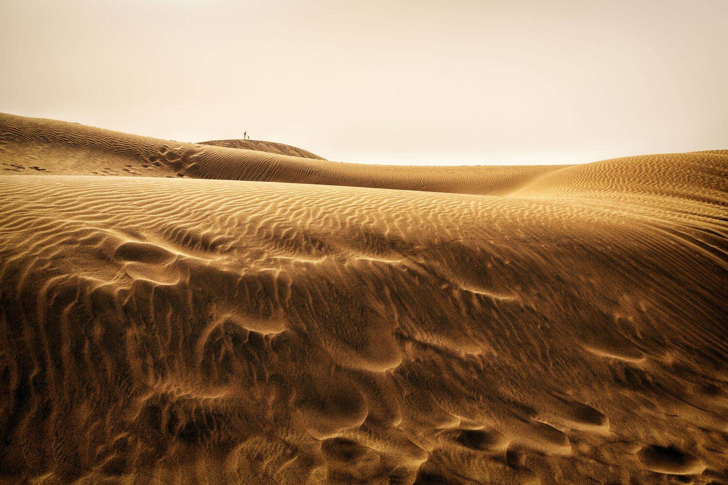 дюна, песок, Александр Безмолитвенный
