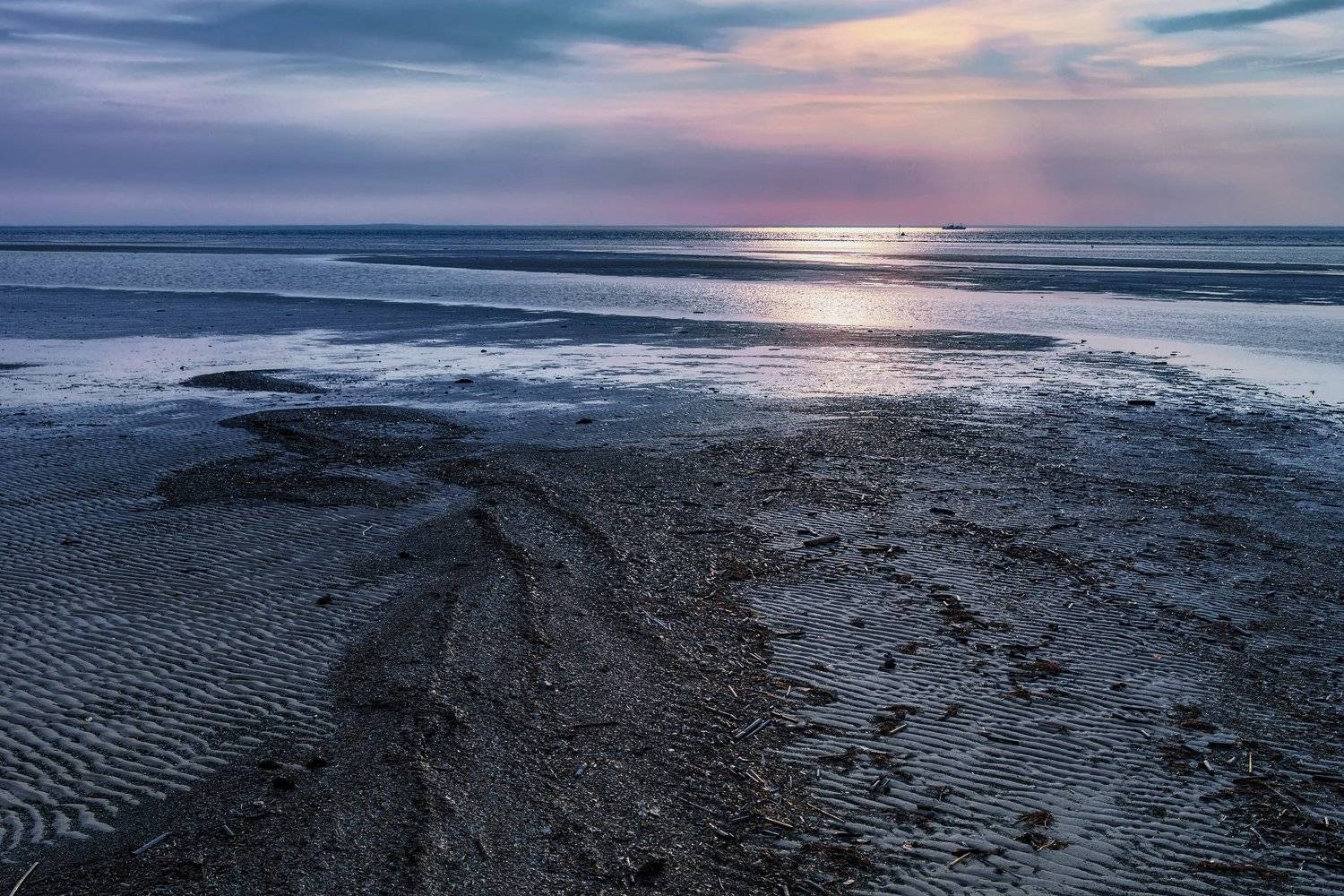 море, белое, берег, отлив, водоросли, вечер, закат, вода, облака, Ра Вера