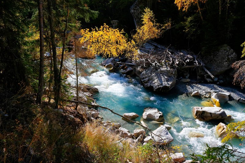 гоначхир, теберда, кчр, река, горы, осень, карачаево, черкессия,  фото превью