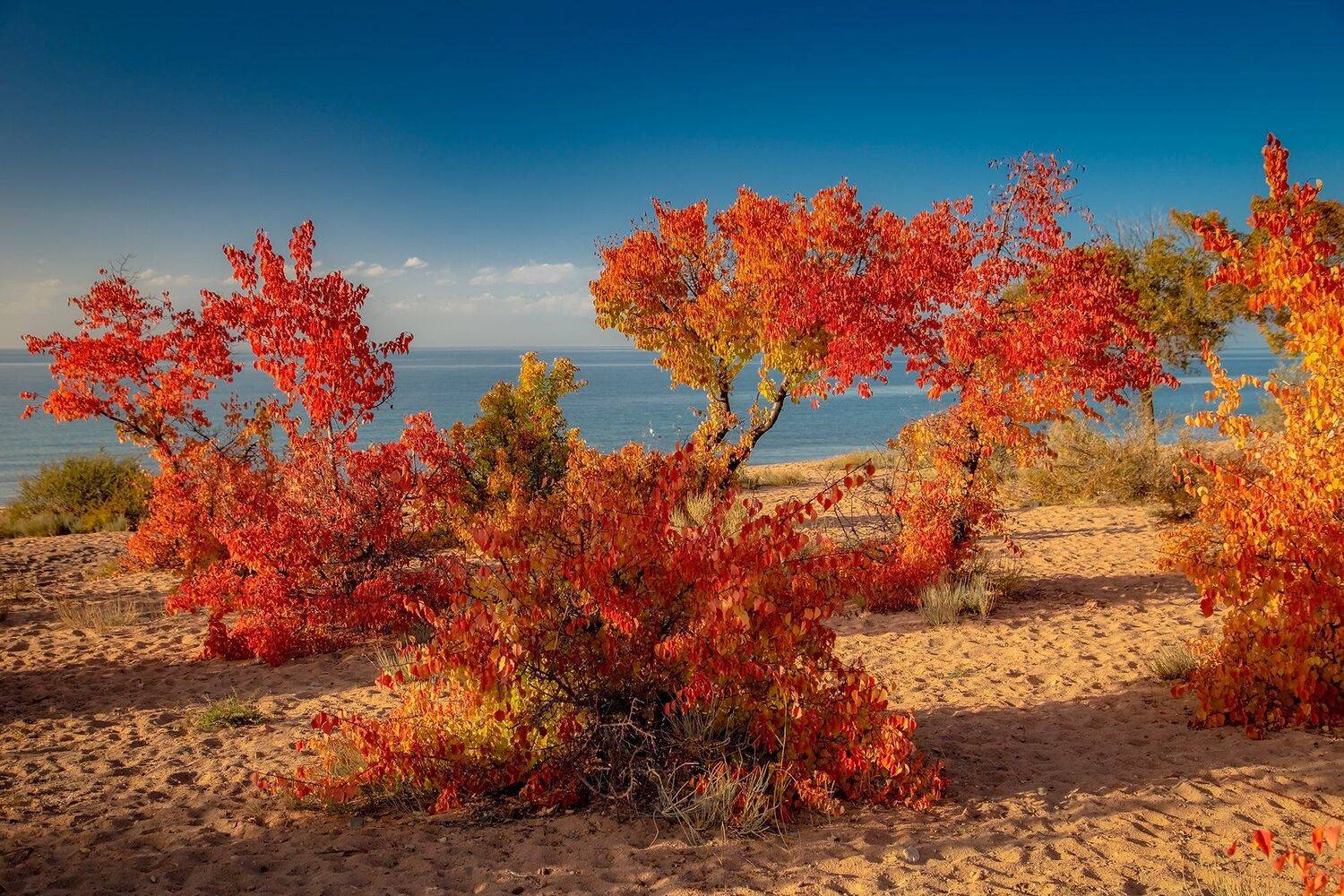 кыргызстан, горы, иссык-куль, Элина Магалимова