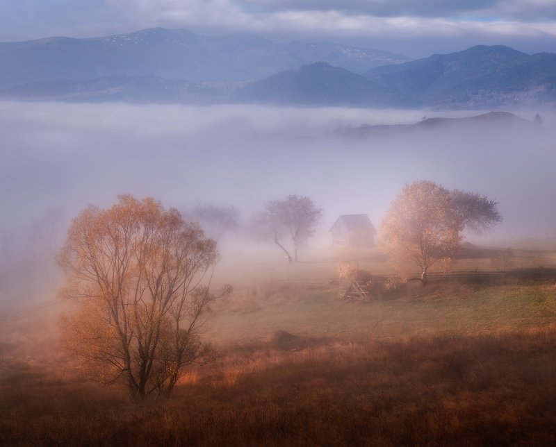карпаты, осень, украина, деревня, пейзаж, туман Осень в Карпатах фото превью