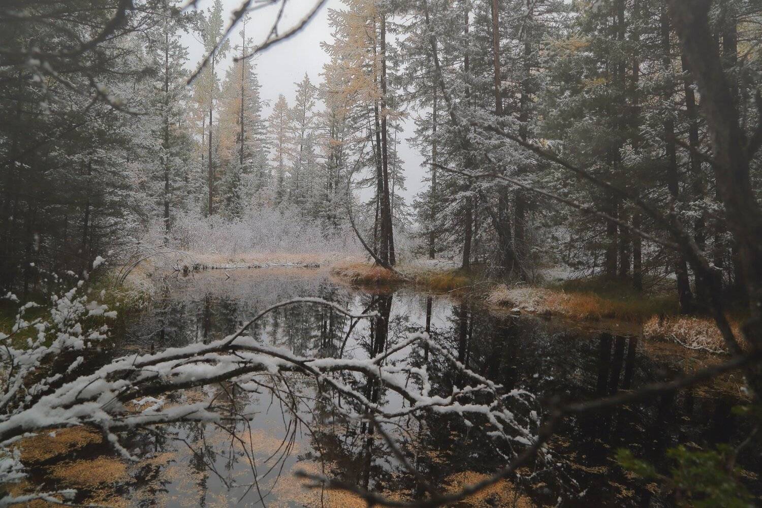 , Евгений Зинов