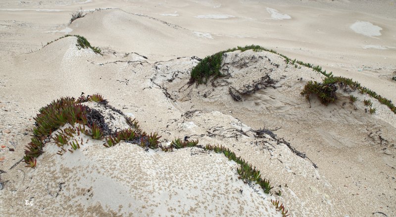 дождь дюна пески Дождь на дюне фото превью