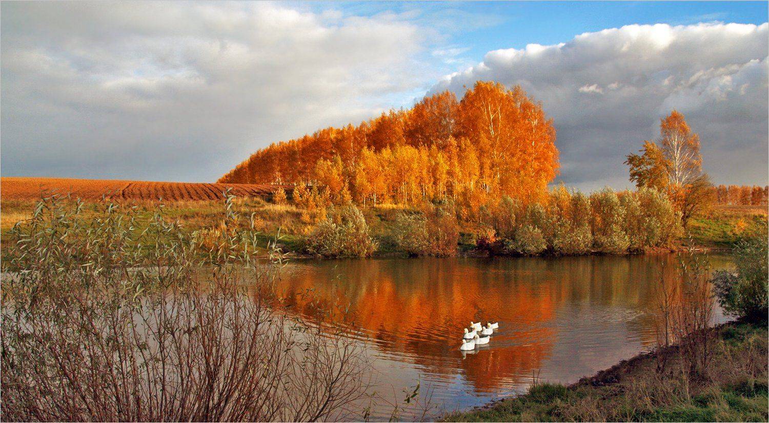 , Сергей Никсон