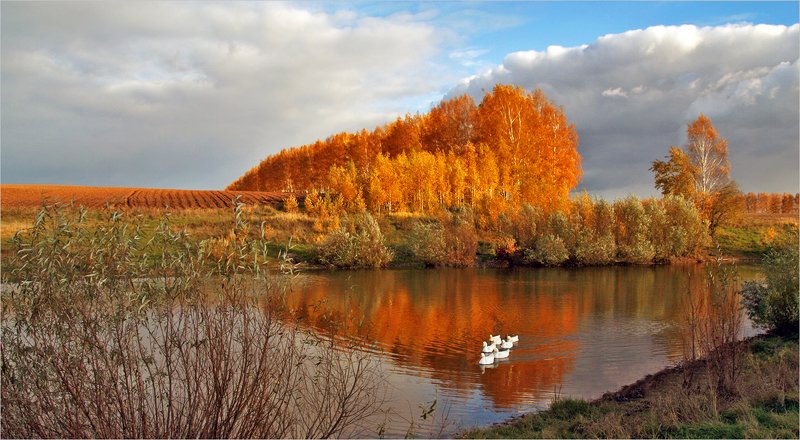 *** фото превью