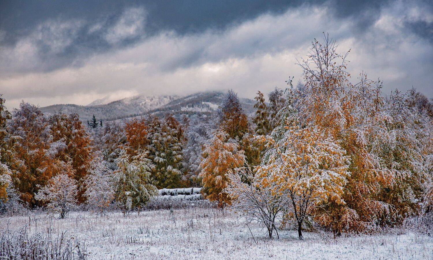 алтай. осень. горы., Евгений Дроботенко