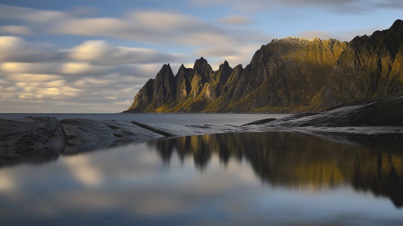 Vertex фото превью