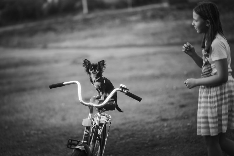 лето дети собака монохром жанр Поехали! фото превью