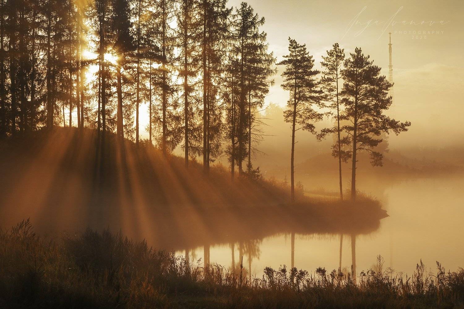 , Инга Иванова