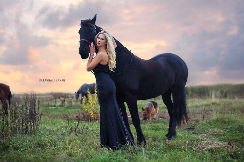 **** фото превью