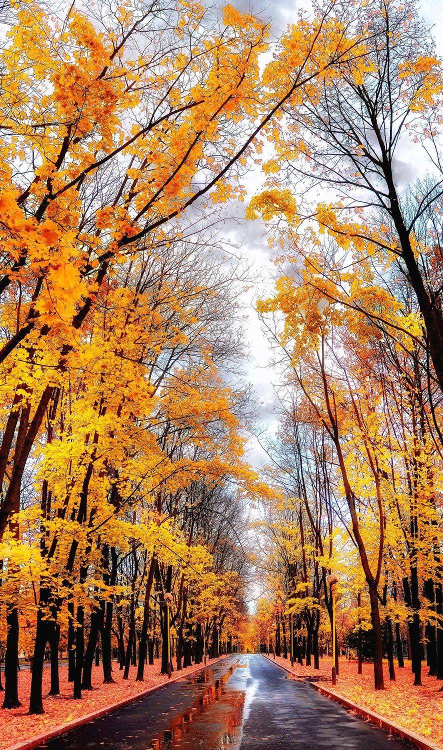 осень, Евгений Гудилин (Андрей Главин, Болиголов)