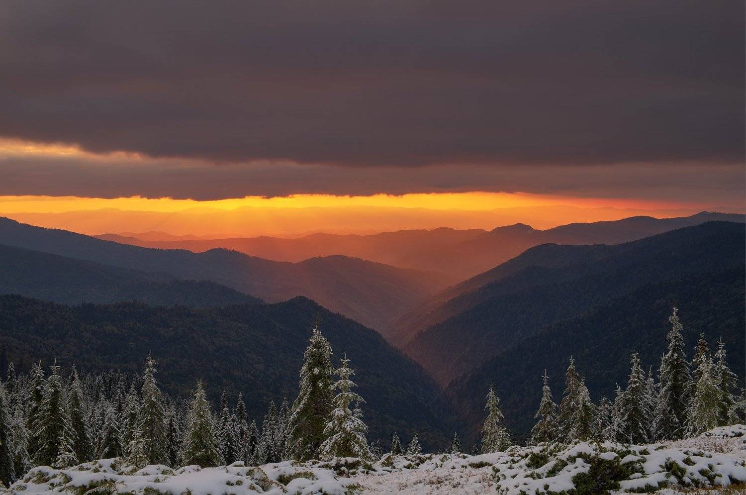 , Леонид Морозов