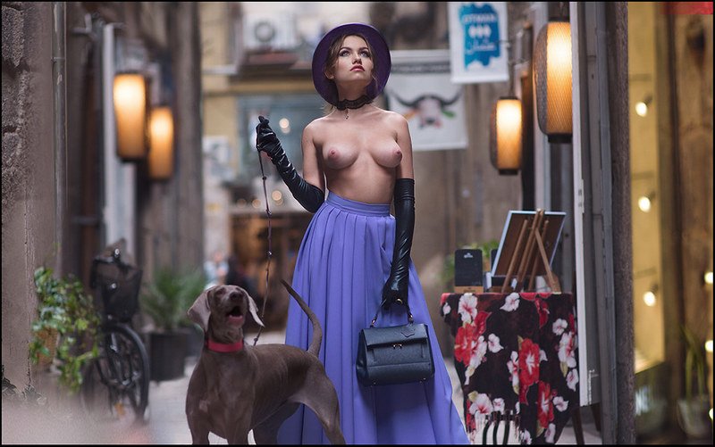 Lanterns of Catalonia © фото превью