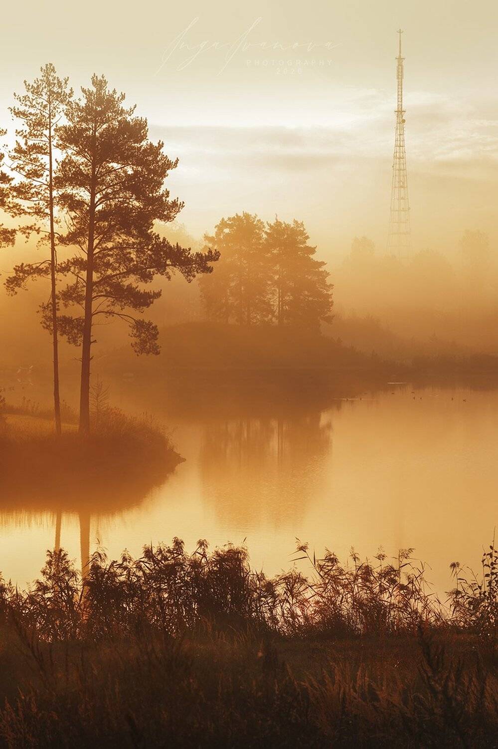 , Инга Иванова