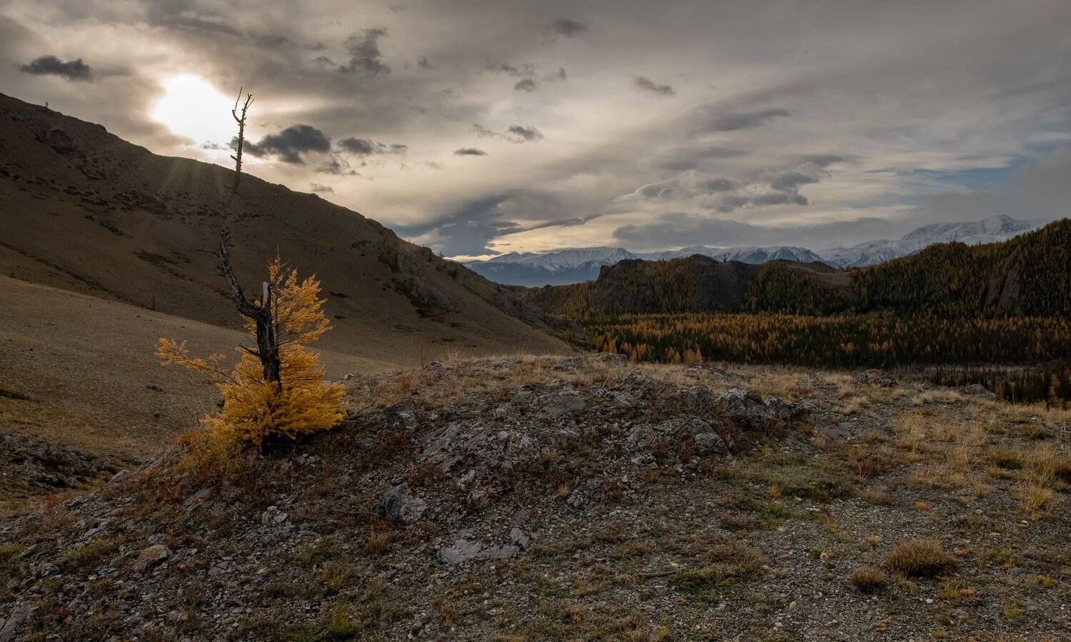алтай.северо-чуйский хребет., Марина Фомина