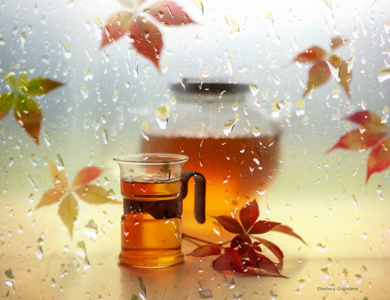 Дождливая осень фото превью