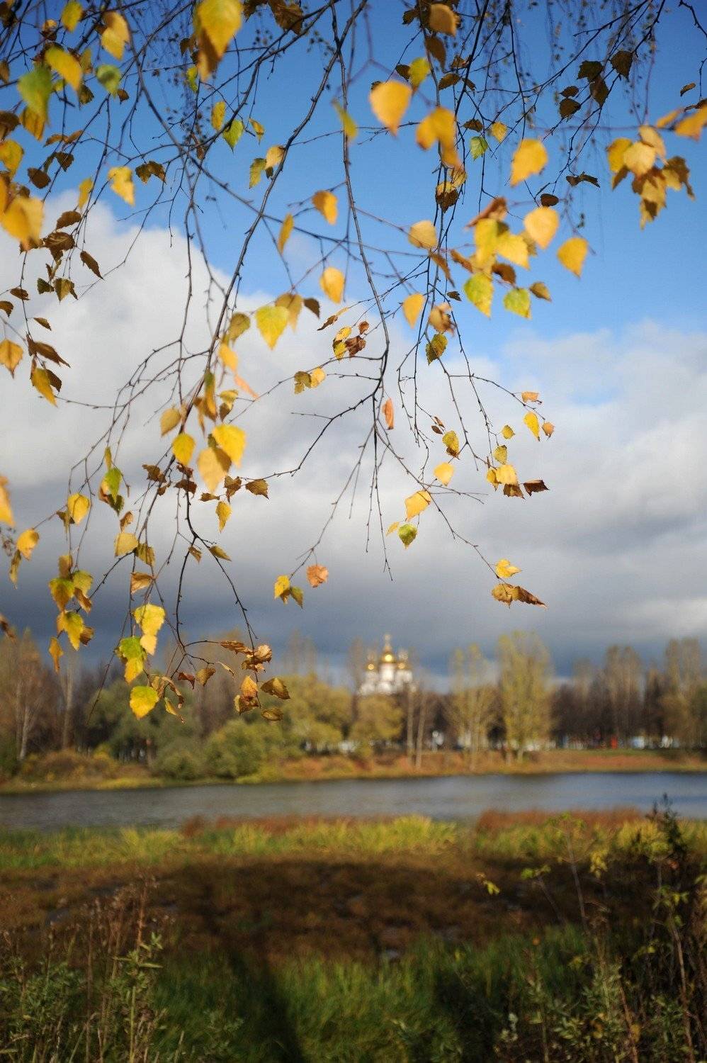 , Дарья Васильева