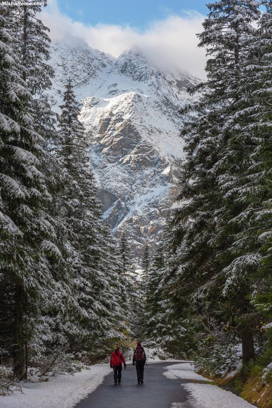 Happiness road фото превью