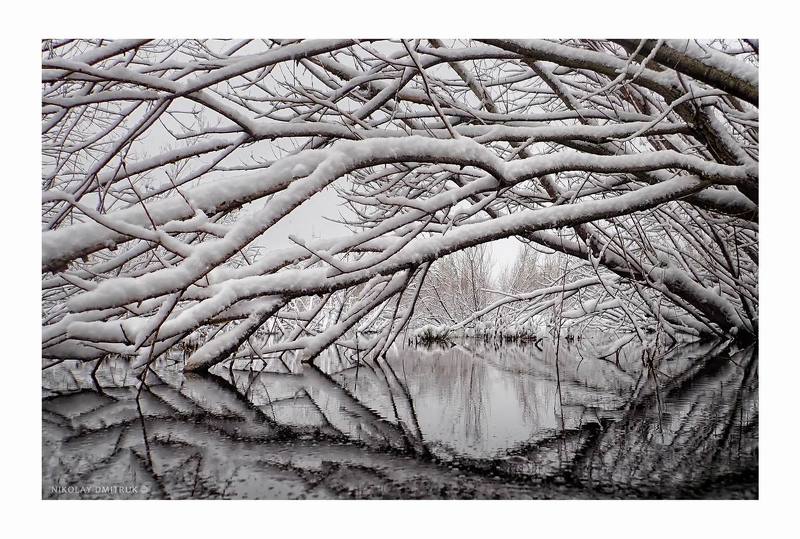 пейзаж погружение. первый снег. 19. 10.2020 фото превью