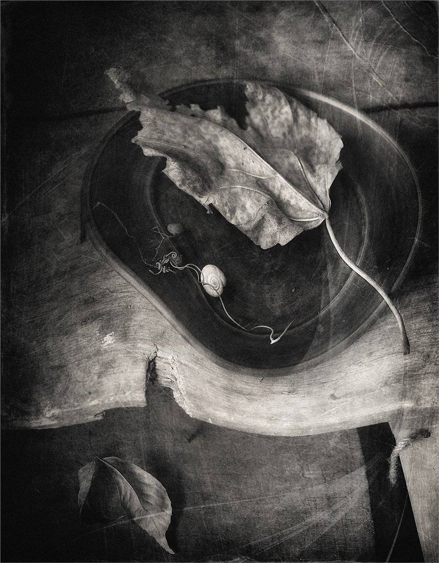 , Александр Хромеев