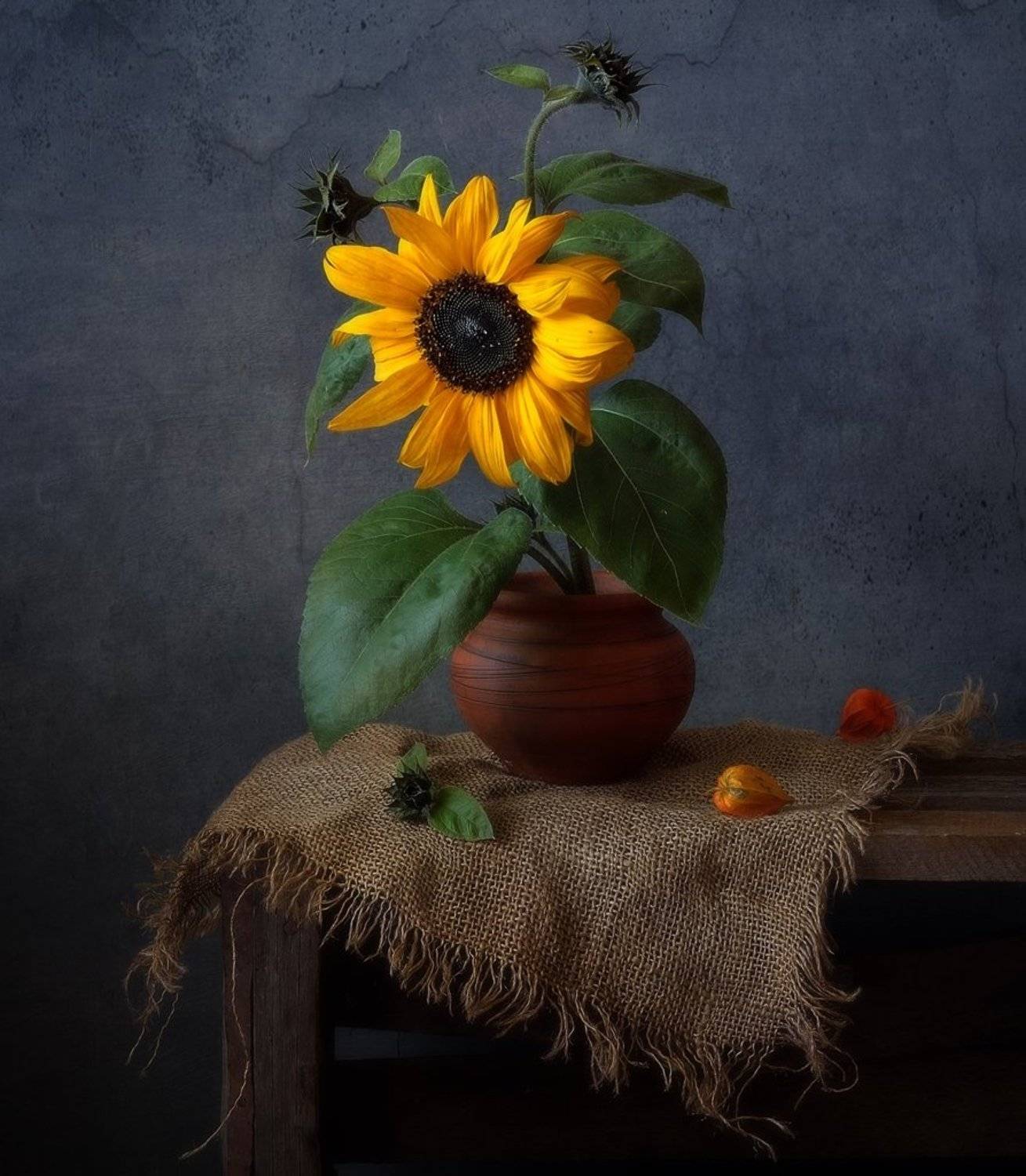 натюрморт,цветы,подсолнух,осень, Наталия К