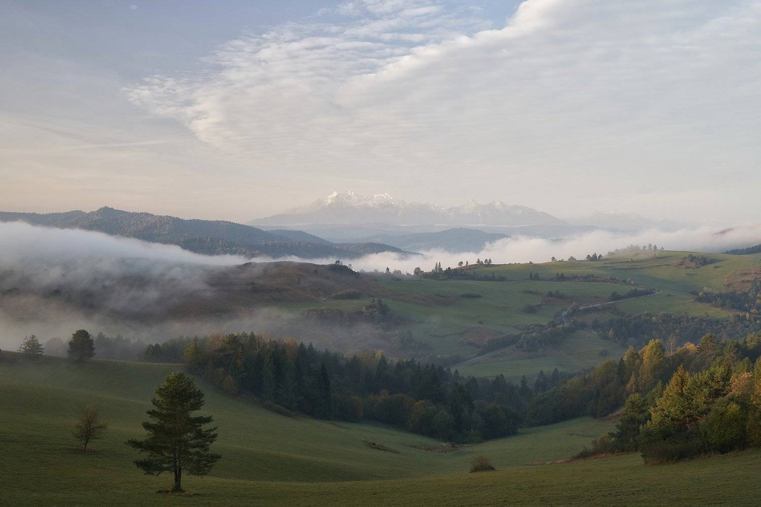 mist,mountains,sunrise,tree,pieniny,tatry, Rafal