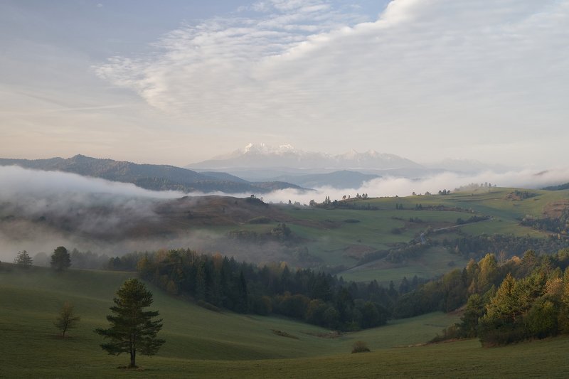 mist,mountains,sunrise,tree,pieniny,tatry Pieniny фото превью