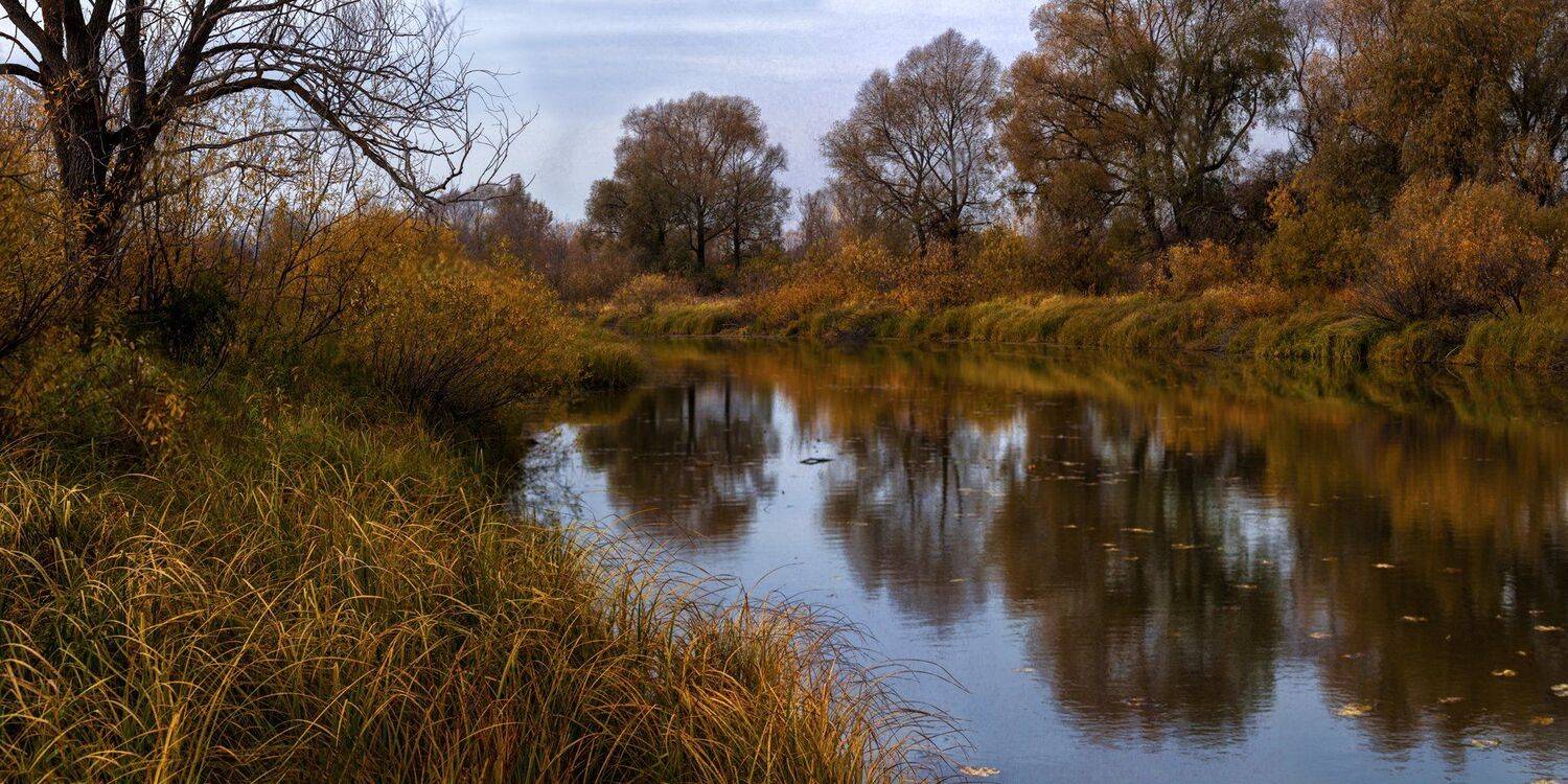 , Марат Кучкаев