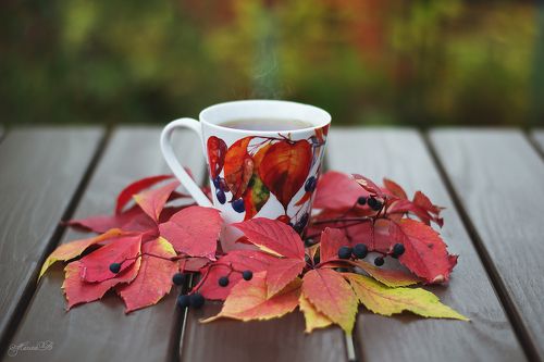 Осенний чай