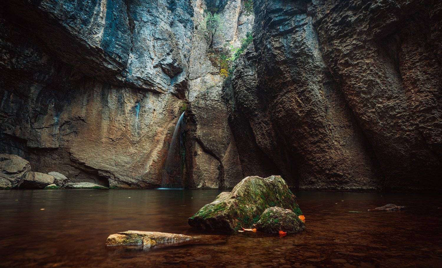 , Тодор Божков