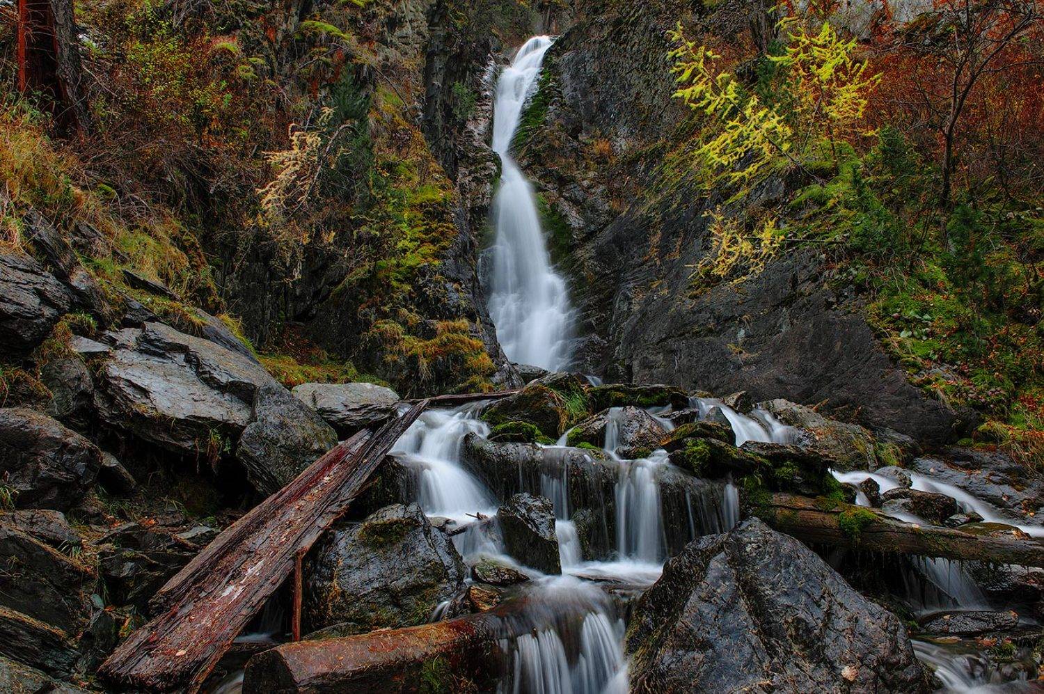 , Олег Логунов