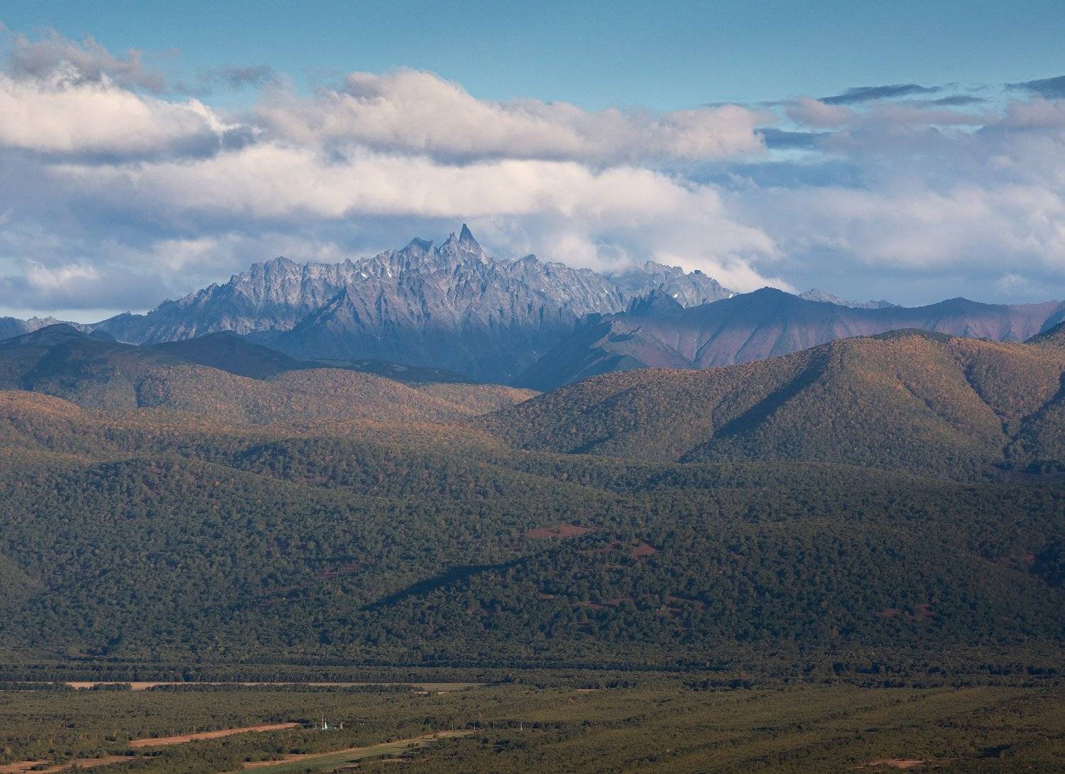 , Александр Максин