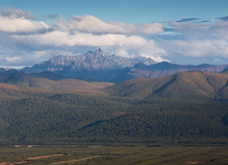 Ганальские остряки  фото превью
