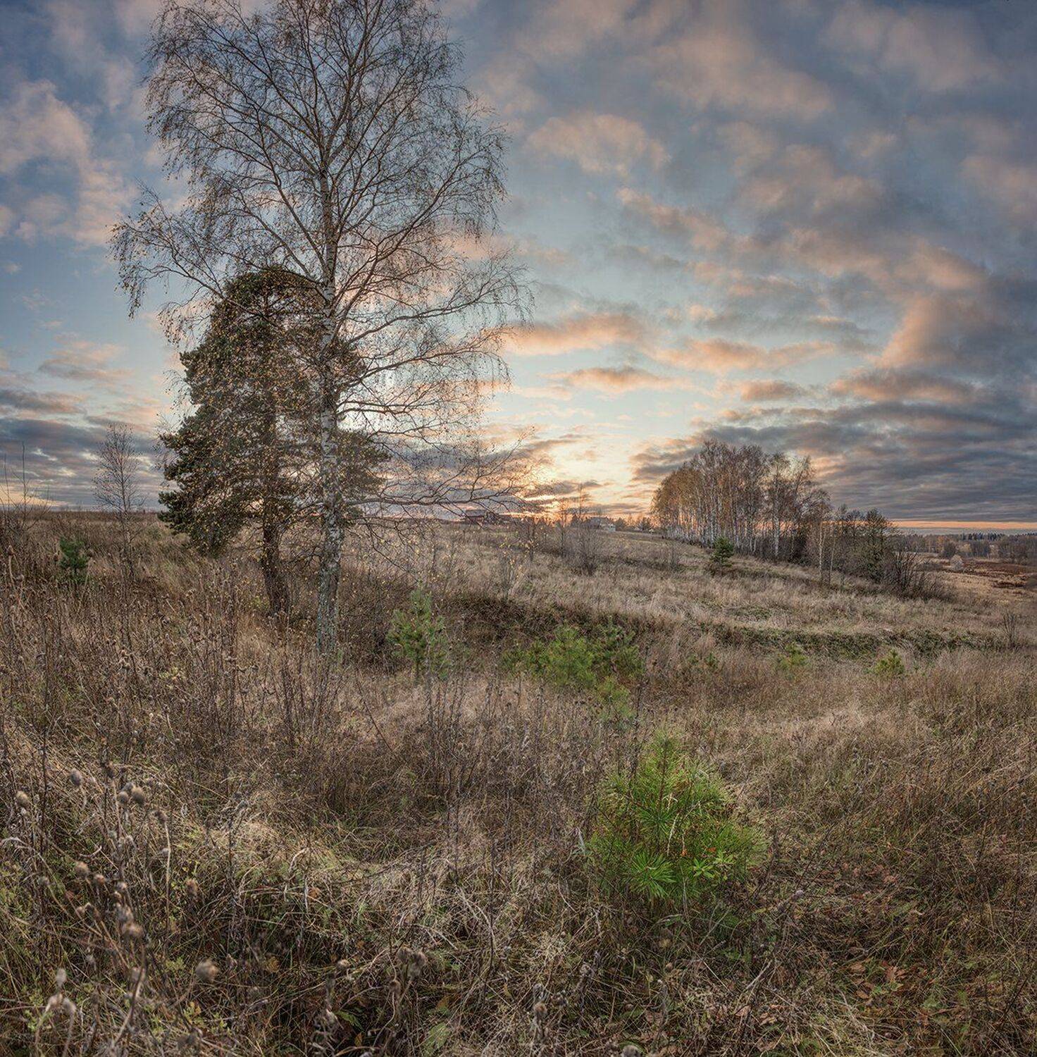 , Николай Андреев