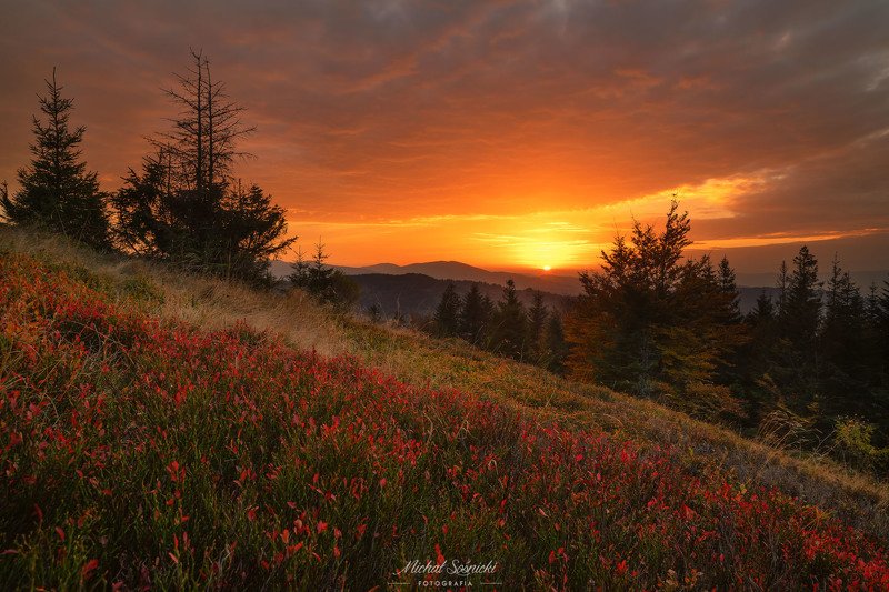 Sunset... фото превью