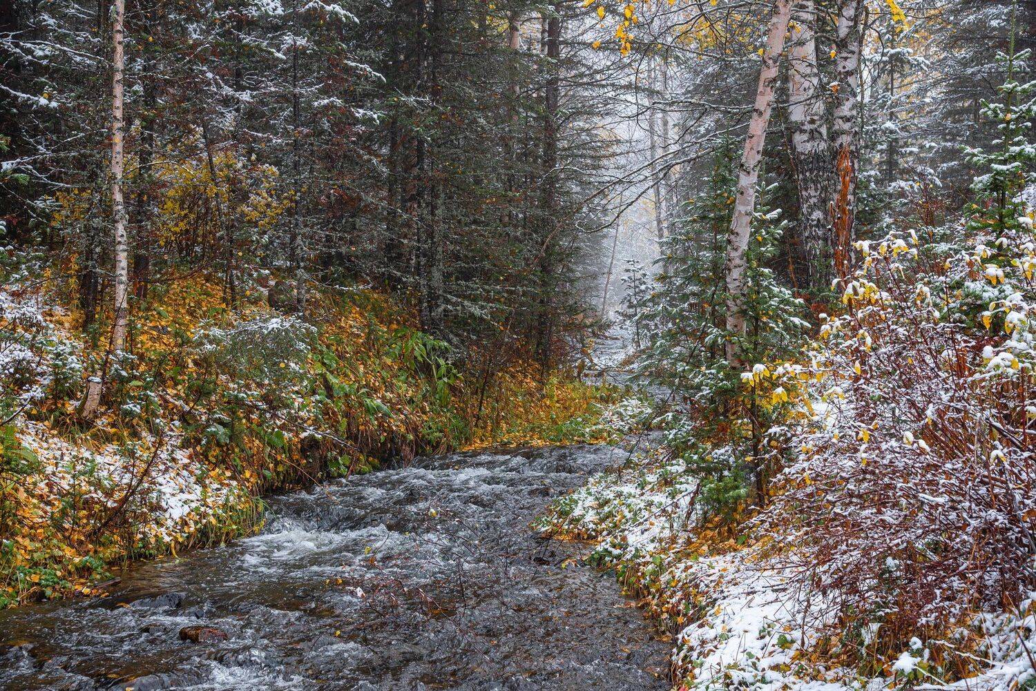 алтай. осень. горы., Евгений Дроботенко