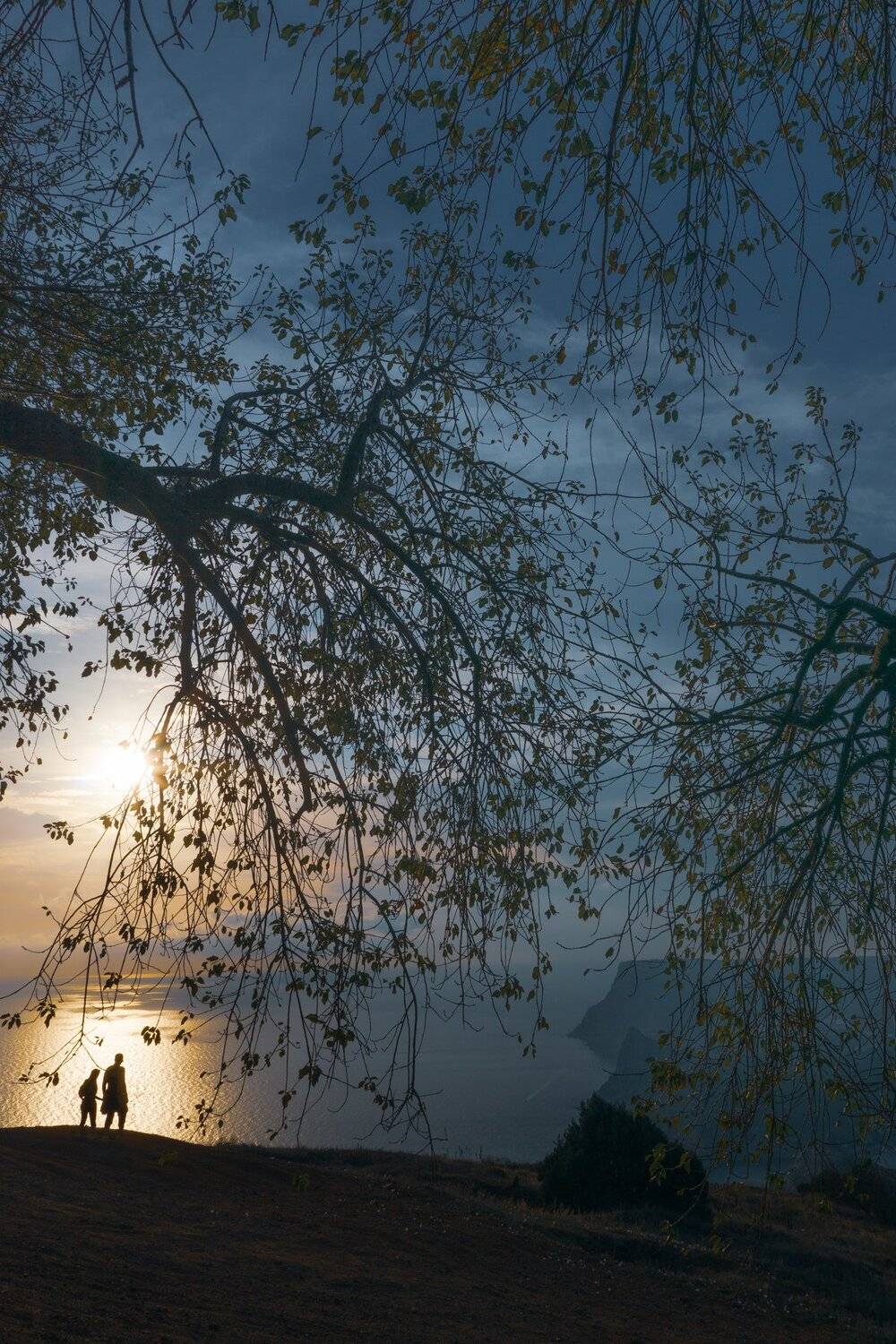 , Андрей Кривцов