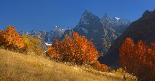 Краски осени
