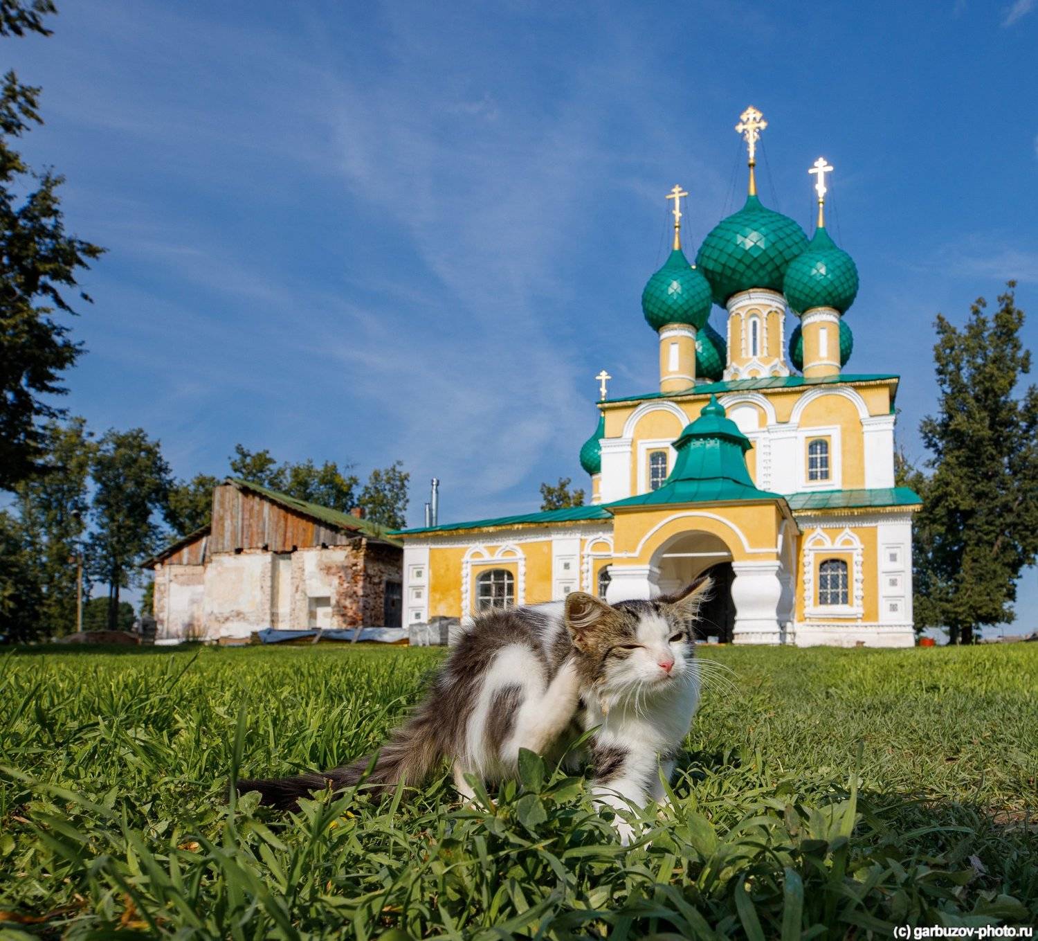 , Гарбузов Илья